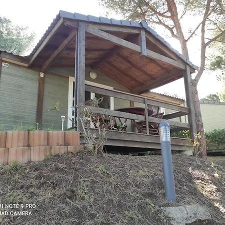 Chalet Dans Avec Piscine *